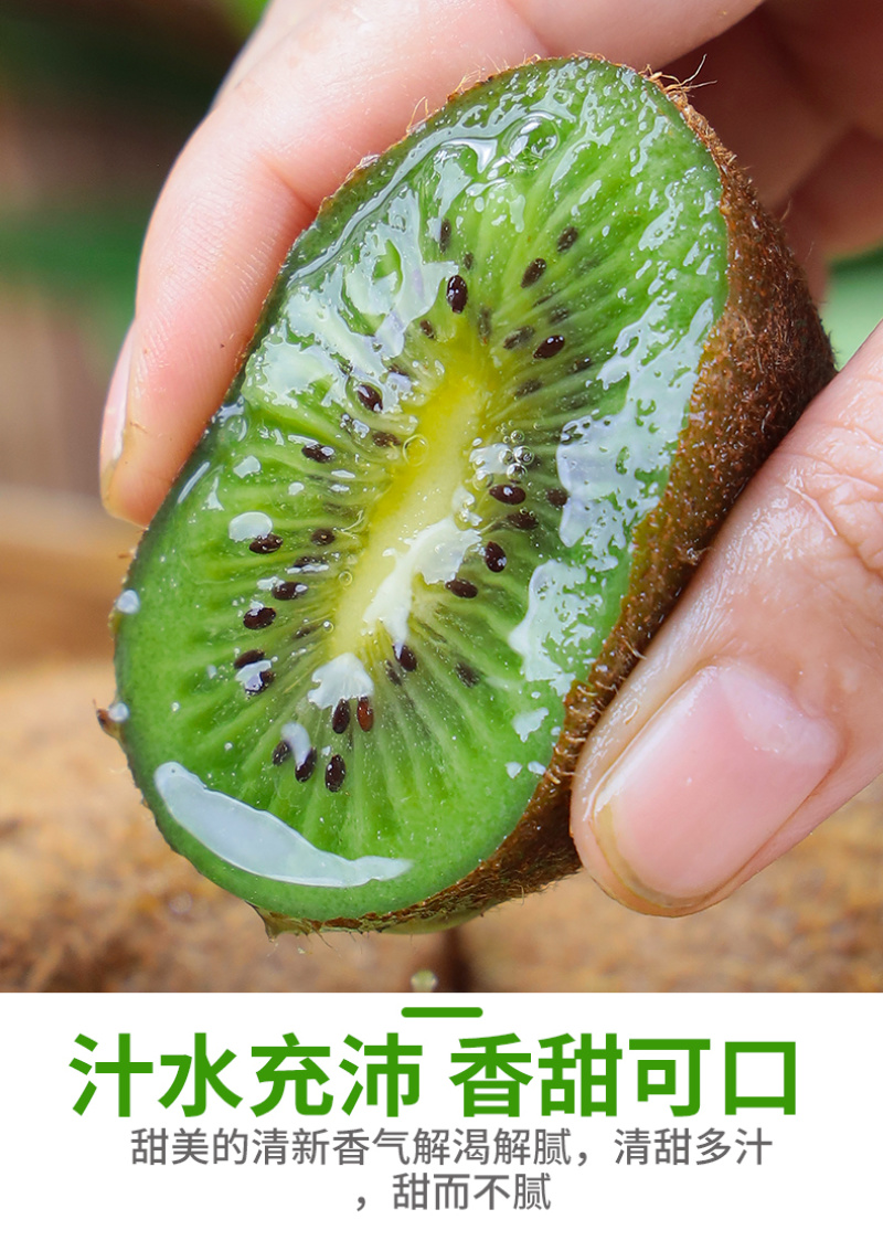 预售一件代发陕西绿心猕猴桃奇异果专业供应链电商各大平台