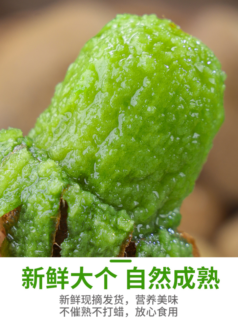 预售一件代发陕西绿心猕猴桃奇异果专业供应链电商各大平台
