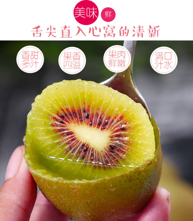 一件代发四川蒲江红心猕猴桃奇异果供应电商各大平台直播等