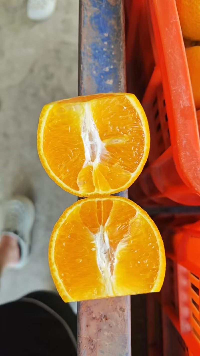 湖北夏橙水分足甜度高货量大承接电商商超社区团购直播带货