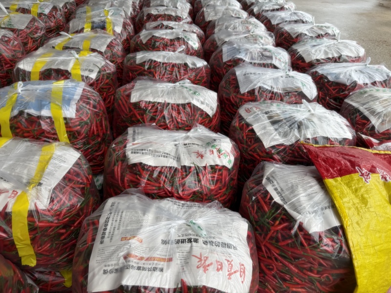 四川小米辣/产区直发/货源充足/欢迎选购