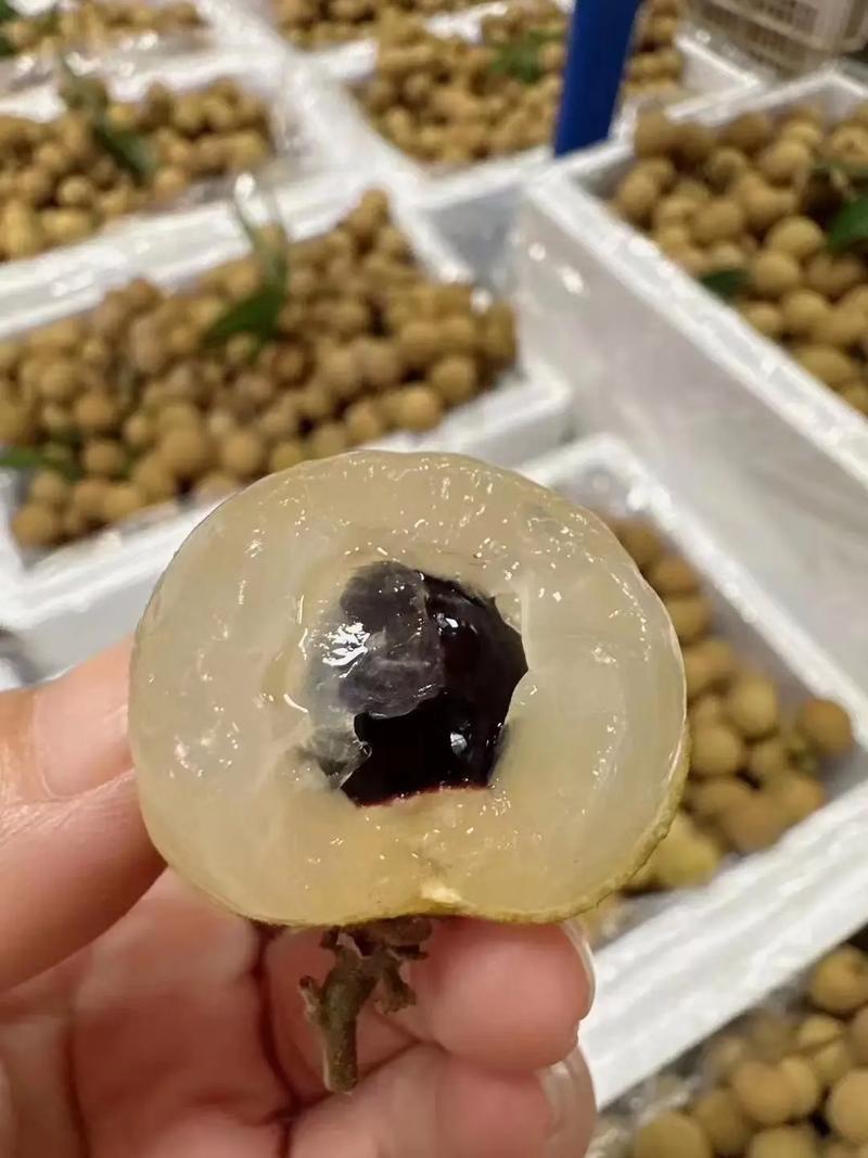广东储良龙眼产地直发对接电商市场商超可视频看货