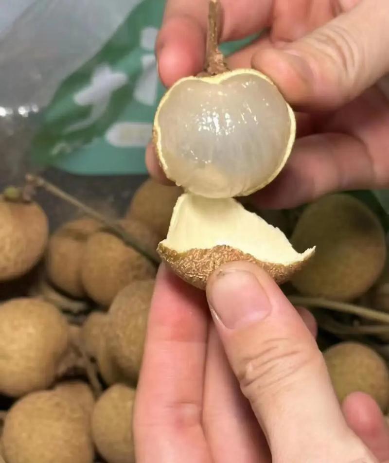 广东储良龙眼基地直发全国发货可视频看货保质保量