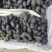 精品无籽A17葡萄大量上市产地现摘现发品质保证欢迎来电
