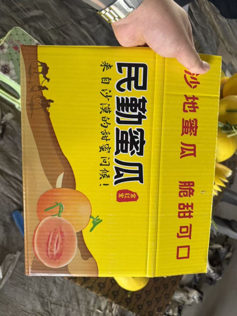 民勤蜜瓜爆甜多汁黄金蜜瓜产地直发一件代发可对接全国电商