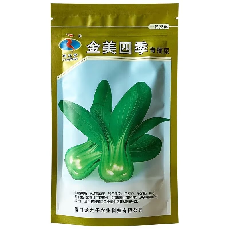 金美四季青梗菜种子耐热抗性强油菜小青菜种子春夏秋季蔬菜种