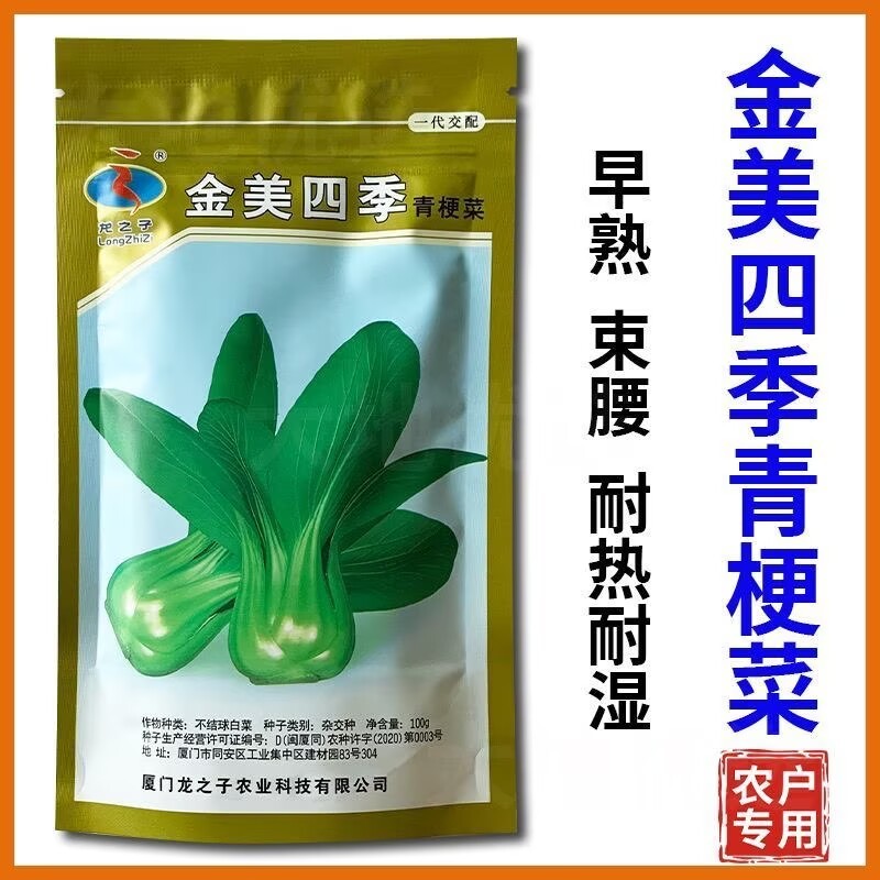 金美四季青梗菜种子耐热抗性强油菜小青菜种子春夏秋季蔬菜种