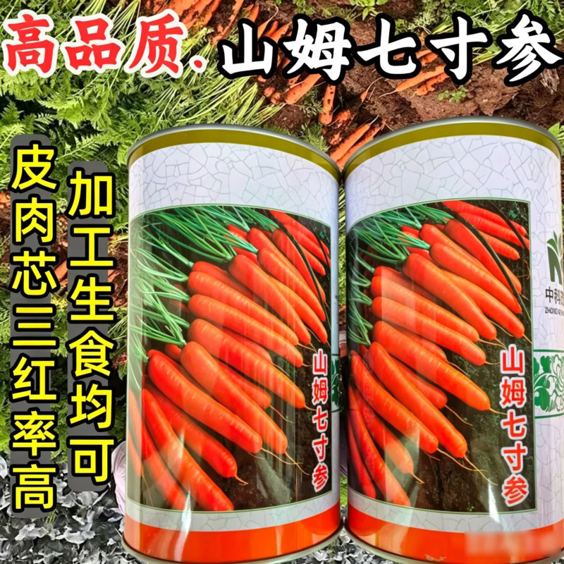 山姆七寸参胡萝卜种子早熟三红萝卜红皮红芯高产夏秋胡萝卜种