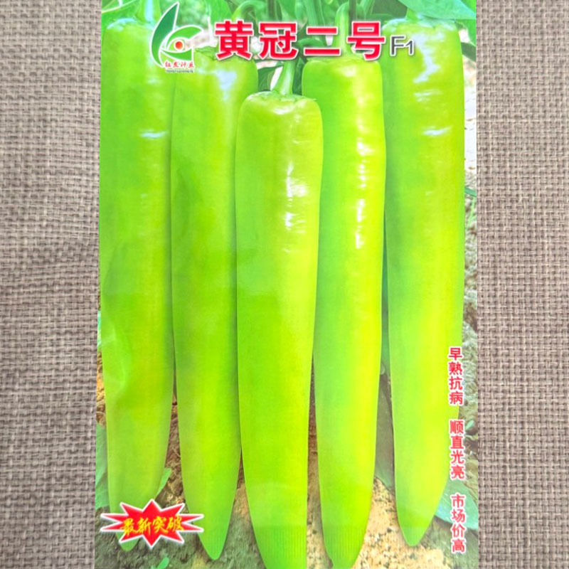 黄冠二号黄皮尖椒种子早熟大果纯黄皮特长牛角椒种子高产抗病