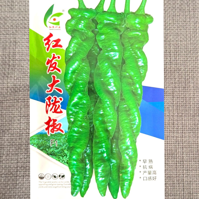 红发大陇椒种子早熟皮薄厚肉顺直大螺丝椒种子耐低温抗高温辣