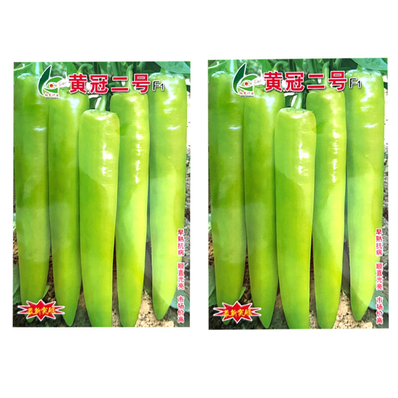 黄冠二号黄皮尖椒种子早熟大果纯黄皮特长牛角椒种子高产抗病