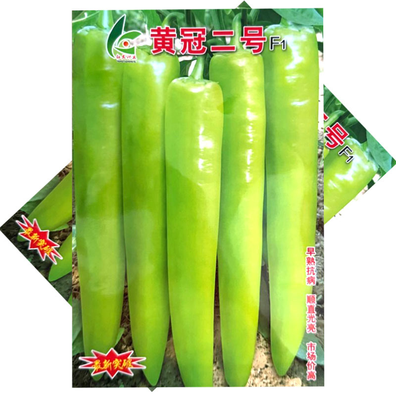 黄冠二号黄皮尖椒种子早熟大果纯黄皮特长牛角椒种子高产抗病