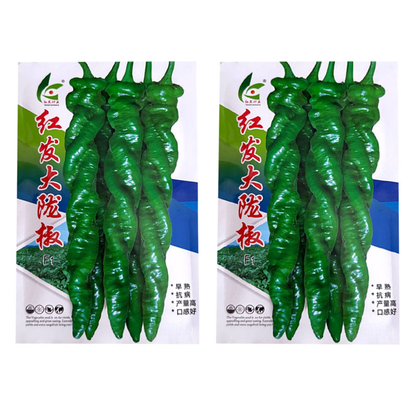红发大陇椒种子早熟皮薄厚肉顺直大螺丝椒种子耐低温抗高温辣