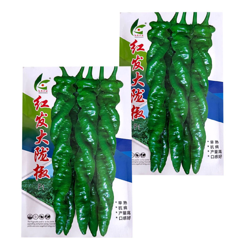 红发大陇椒种子早熟皮薄厚肉顺直大螺丝椒种子耐低温抗高温辣