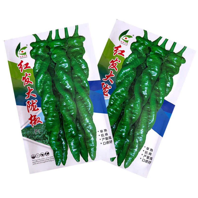 红发大陇椒种子早熟皮薄厚肉顺直大螺丝椒种子耐低温抗高温辣