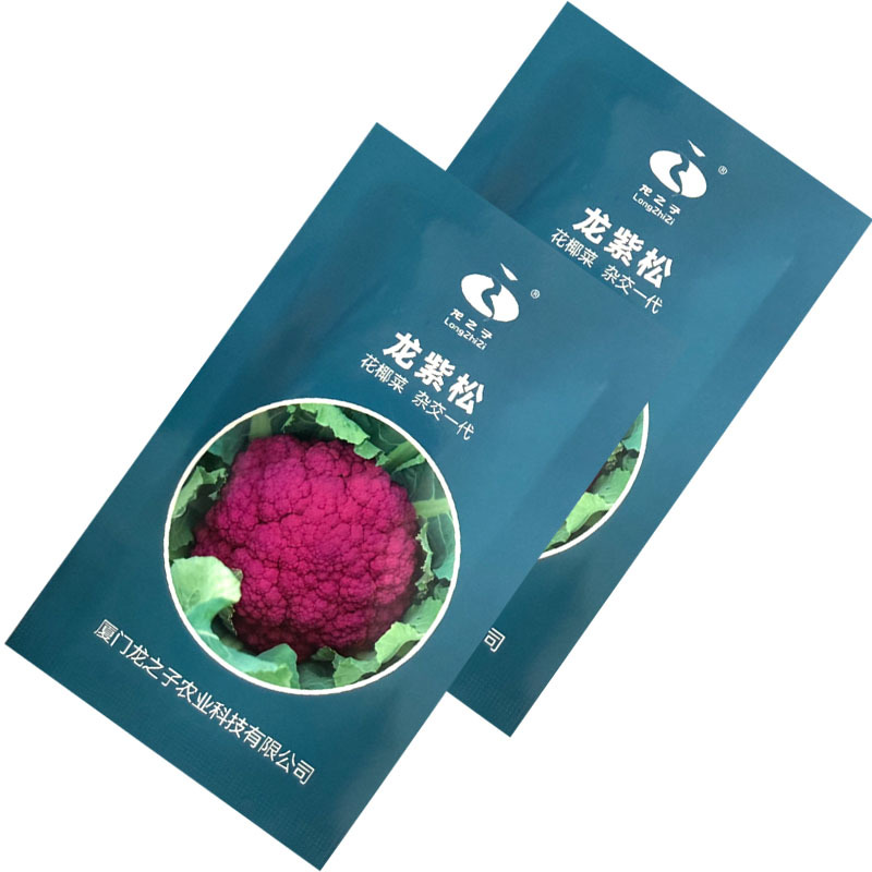 紫色花菜种子65天免盖球露地种植早熟龙紫松花椰菜种子