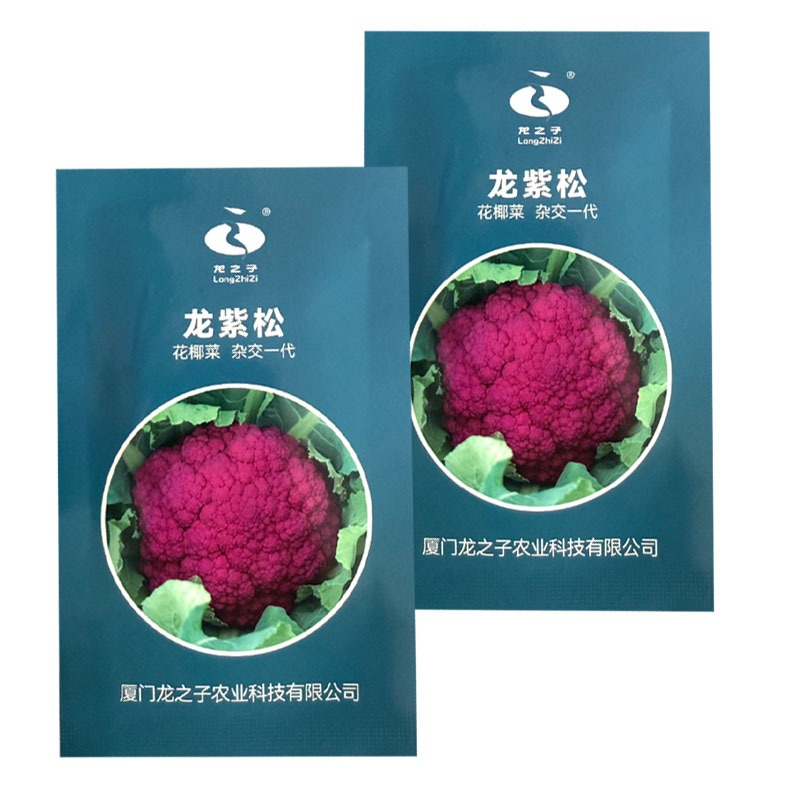 紫色花菜种子65天免盖球露地种植早熟龙紫松花椰菜种子