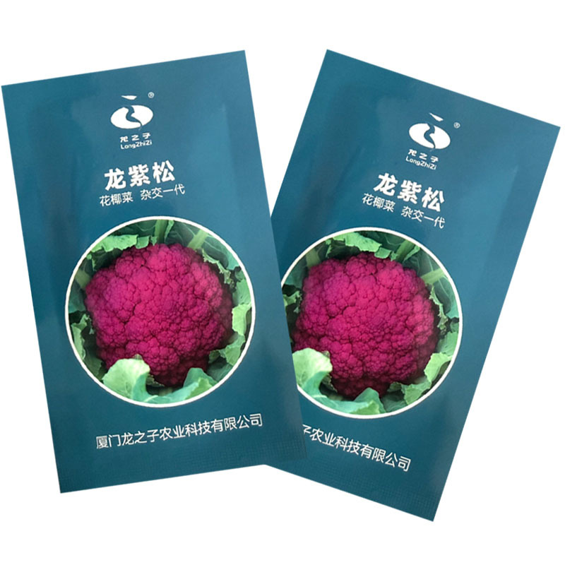 紫色花菜种子65天免盖球露地种植早熟龙紫松花椰菜种子