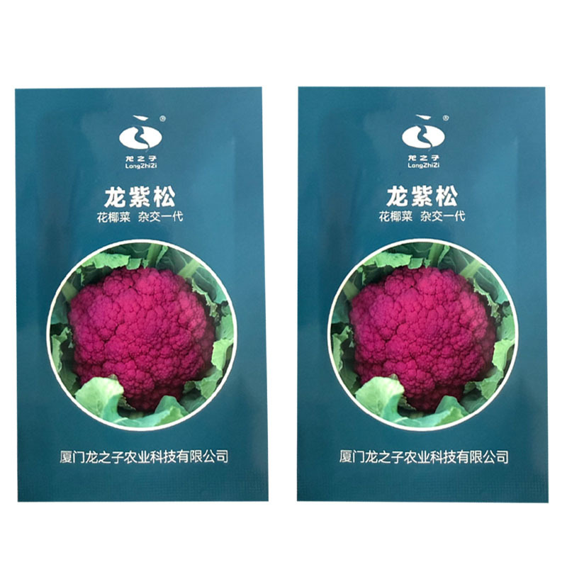 紫色花菜种子65天免盖球露地种植早熟龙紫松花椰菜种子