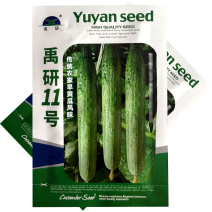 禹研11号旱黄瓜种子早熟黑刺脆嫩微甜香味浓郁水果黄瓜种子