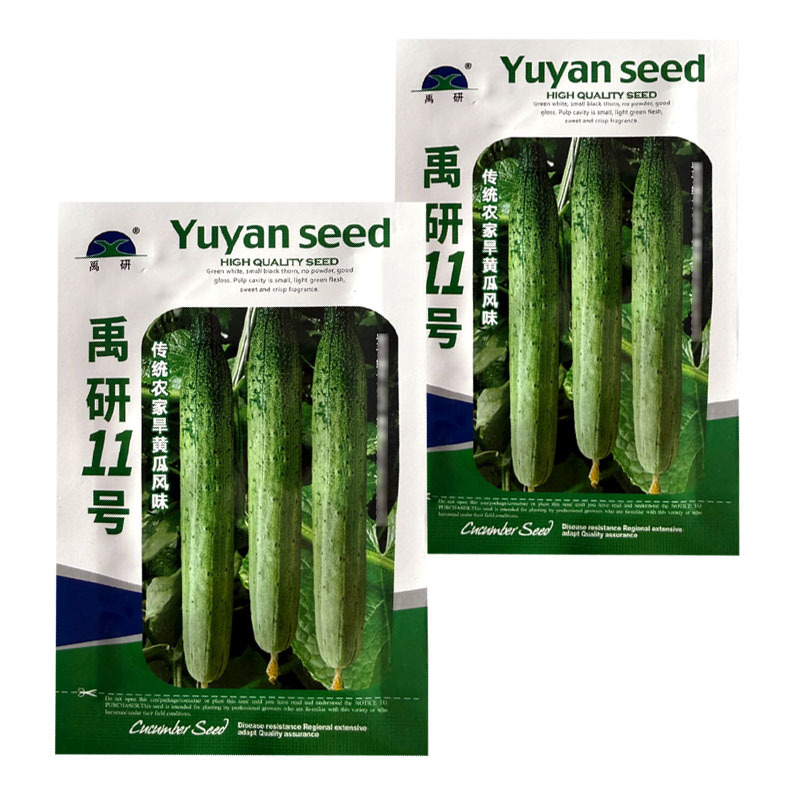 禹研11号旱黄瓜种子早熟黑刺脆嫩微甜香味浓郁水果黄瓜种子