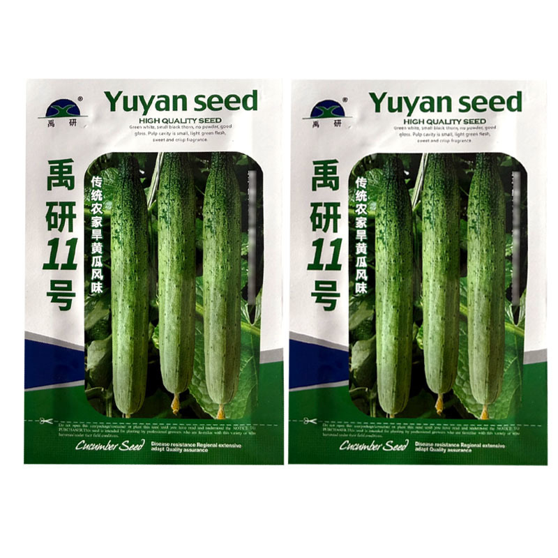 禹研11号旱黄瓜种子早熟黑刺脆嫩微甜香味浓郁水果黄瓜种子