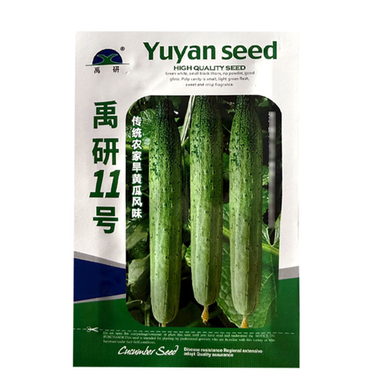 禹研11号旱黄瓜种子早熟黑刺脆嫩微甜香味浓郁水果黄瓜种子