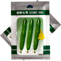 禹研七号旱黄瓜种子5g纯雌型节间短水果黄瓜种子小瘤白刺