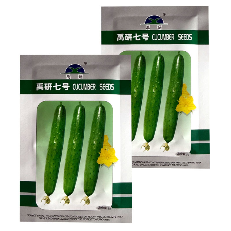 禹研七号旱黄瓜种子5g纯雌型节间短水果黄瓜种子小瘤白刺