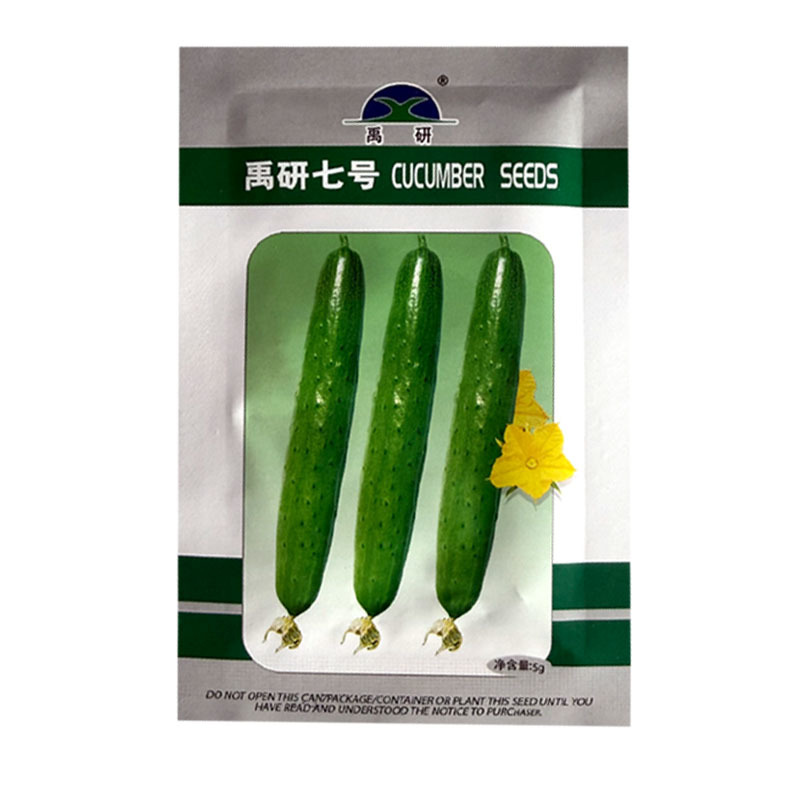 禹研七号旱黄瓜种子5g纯雌型节间短水果黄瓜种子小瘤白刺