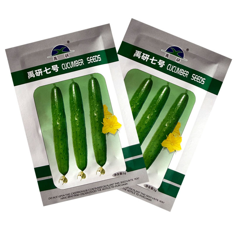 禹研七号旱黄瓜种子5g纯雌型节间短水果黄瓜种子小瘤白刺