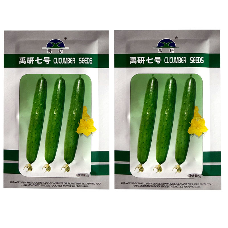禹研七号旱黄瓜种子5g纯雌型节间短水果黄瓜种子小瘤白刺