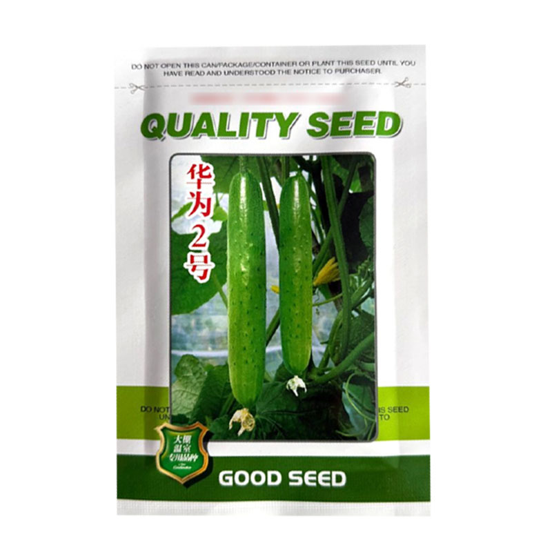 华为2号旱黄瓜种子纯雌型水果黄瓜种子抗病节间短节节有瓜