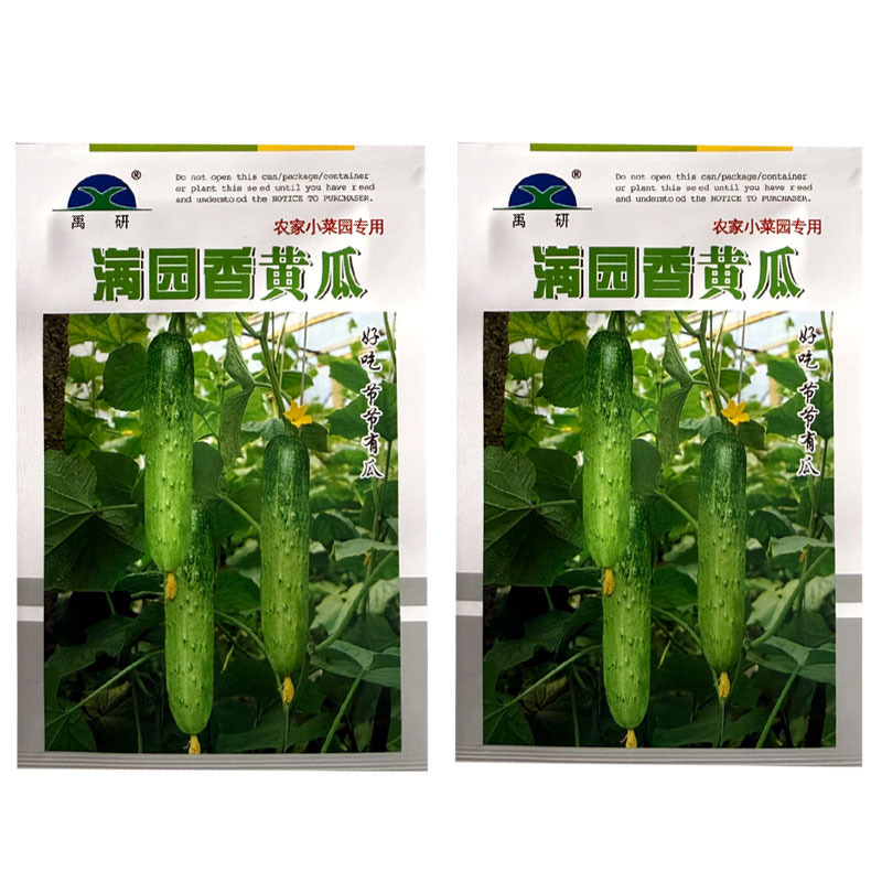 满园香黄瓜种子强雌型结瓜多黑刺口感甜脆节节有瓜水果旱黄瓜