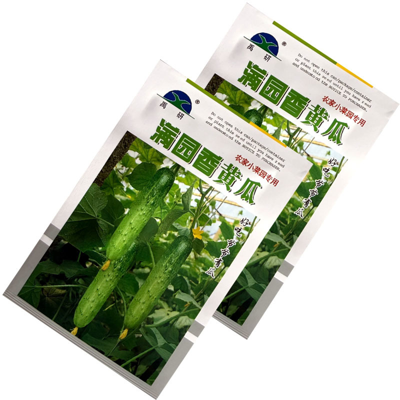 满园香黄瓜种子强雌型结瓜多黑刺口感甜脆节节有瓜水果旱黄瓜