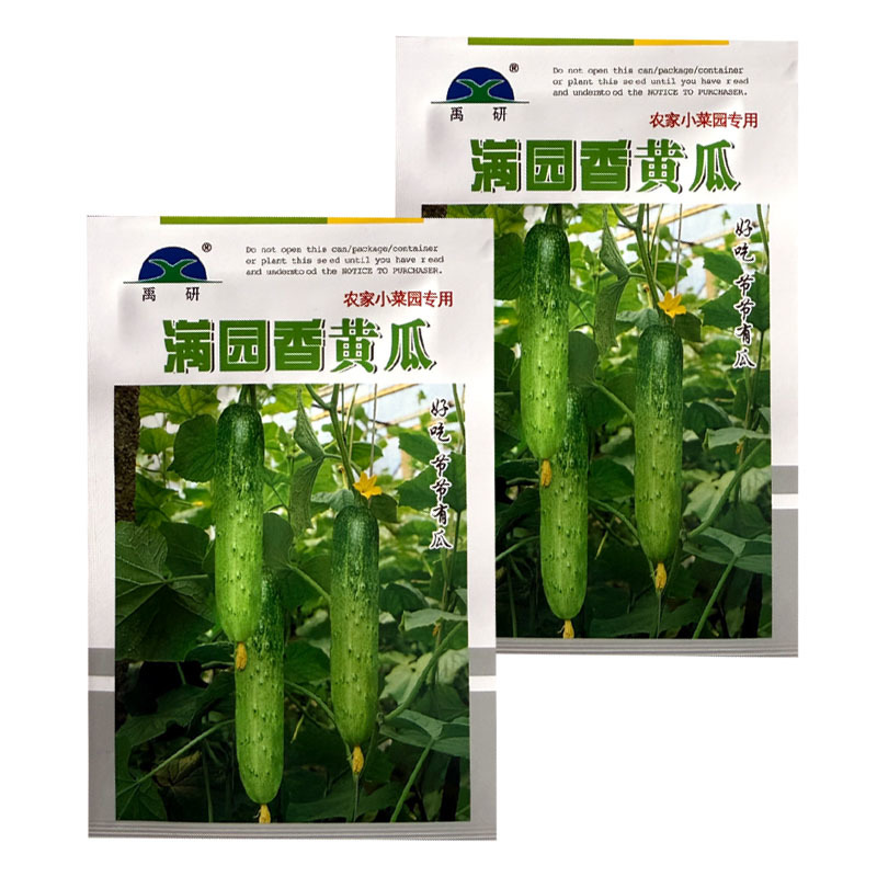 满园香黄瓜种子强雌型结瓜多黑刺口感甜脆节节有瓜水果旱黄瓜