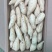 热卖湖北人参薯基地直发对接电商市场商超可视频