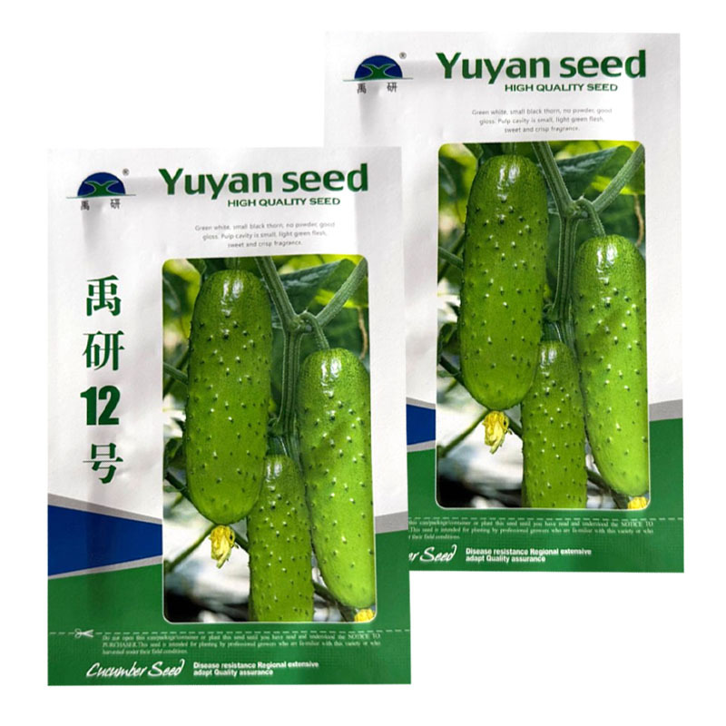 禹研12号旱黄瓜种子杂交纯雌型黄瓜种籽节间短白刺口感甜脆