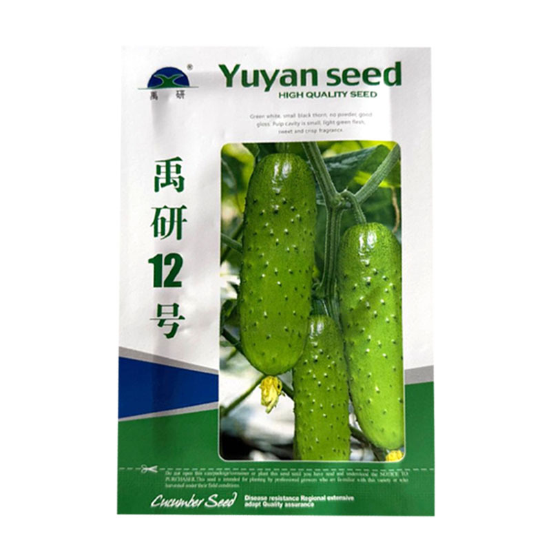 禹研12号旱黄瓜种子杂交纯雌型黄瓜种籽节间短白刺口感甜脆