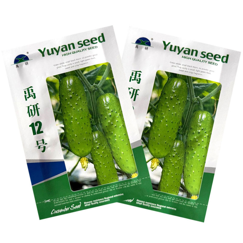 禹研12号旱黄瓜种子杂交纯雌型黄瓜种籽节间短白刺口感甜脆