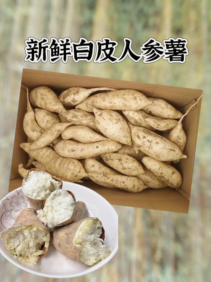 优选湖北人参薯基地直发对接电商市场商超可视频
