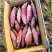 精品湖北济薯2633基地直发对接电商市场商超
