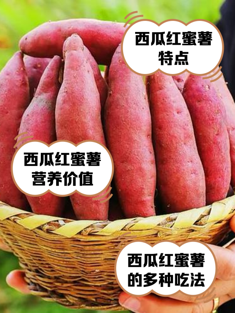 精品湖北西瓜红基地直发对接电商市场商超