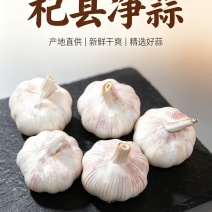 大蒜，干蒜精品杞县大蒜，太空蒜，大量供应批发市场电商平台