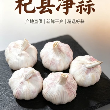 大蒜，干蒜精品杞县大蒜，太空蒜，大量供应批发市场电商平台