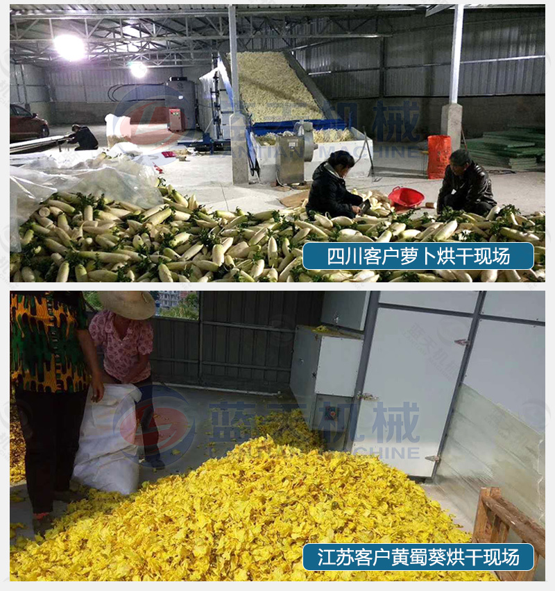 山楂片烘干机山楂切片烘干设备山楂去核切片烘干生产线