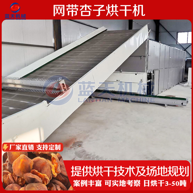 网带杏子烘干机蜂糖李荔枝龙眼烘干机海棠干李子干加工生产线