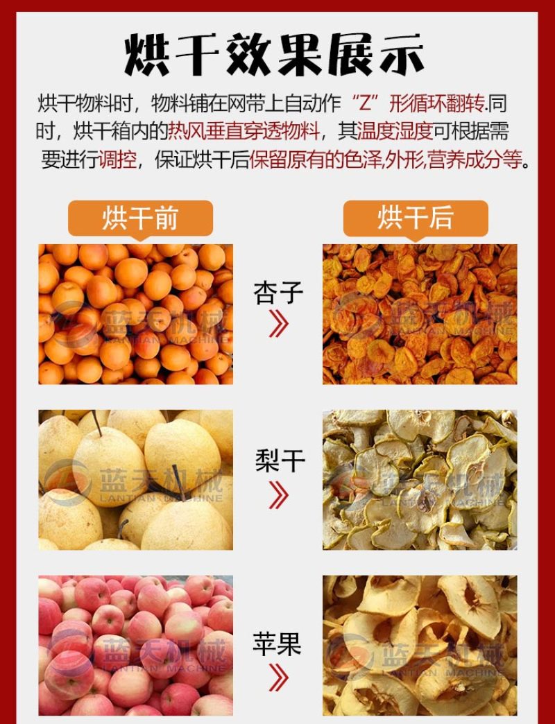 网带杏子烘干机蜂糖李荔枝龙眼烘干机海棠干李子干加工生产线