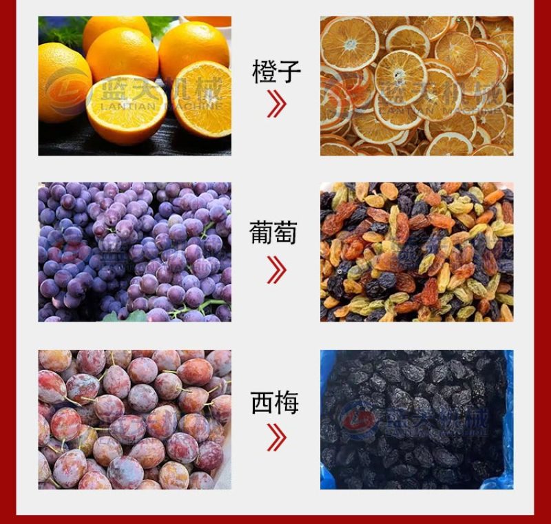 网带杏子烘干机蜂糖李荔枝龙眼烘干机海棠干李子干加工生产线