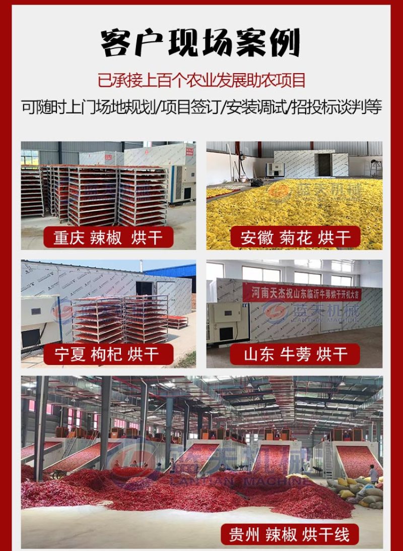 网带杏子烘干机蜂糖李荔枝龙眼烘干机海棠干李子干加工生产线